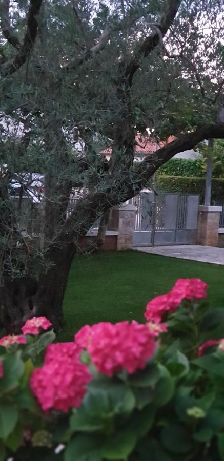 Apartments Cocaletto5 Rovinj Dış mekan fotoğraf